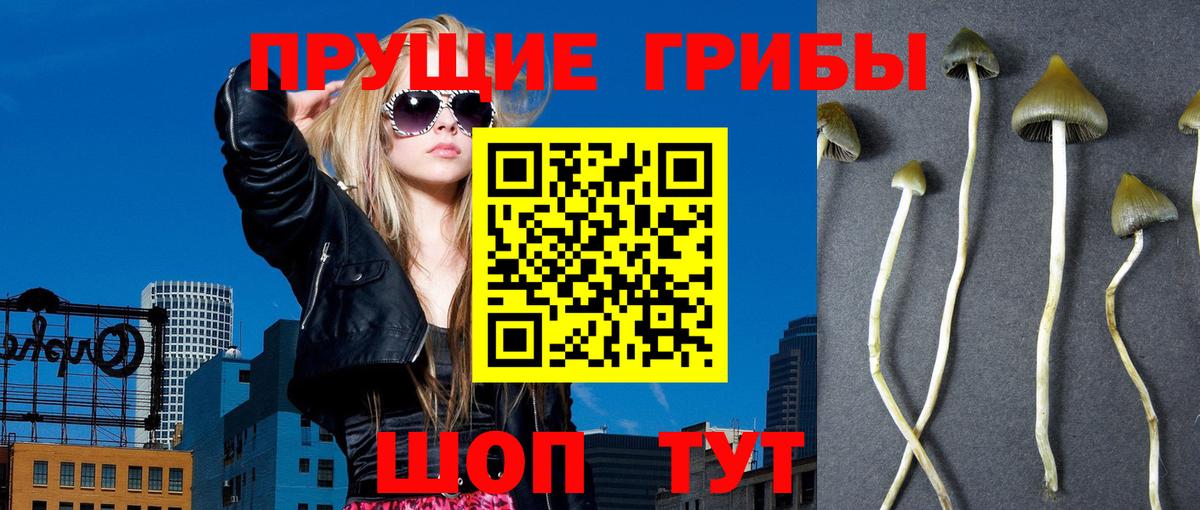 Галлюциногенные грибы мухоморы  Вход с VPN  Карачаевск 