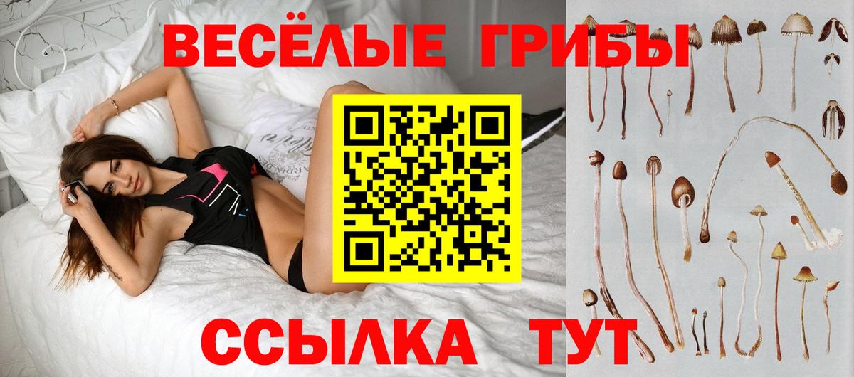 Галлюциногенные грибы Cubensis Карачаевск