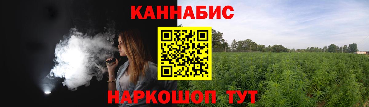 Конопля индика Карачаевск